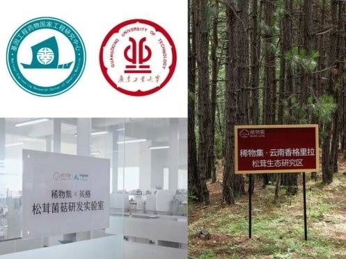 灵汐时代DTC案例 | 2年5个亿，稀物集“根植中国”的差异化升维战-第18张图片