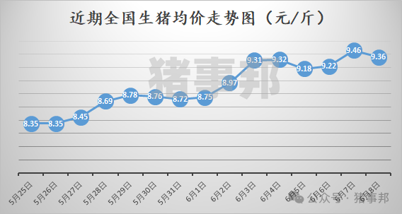 猪事邦|| 6月8日猪价汇总及分析（冲高回落！）-第2张图片