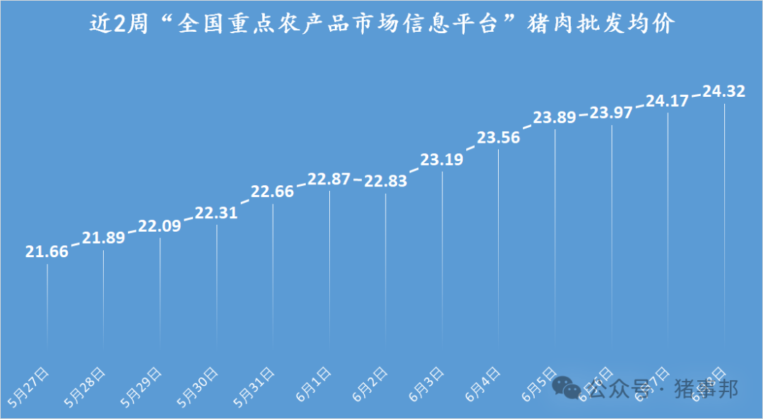猪事邦|| 6月8日猪价汇总及分析（冲高回落！）-第4张图片