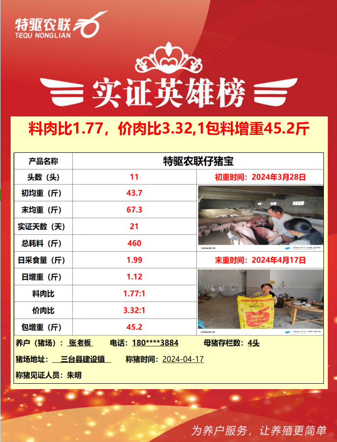 张老板：料肉比1.77，一包料长45.2斤猪，确实不错！-第2张图片