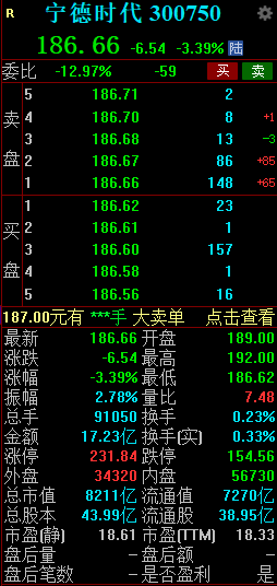 宁德时代早盘跌超3% 成交额超17亿元-第2张图片