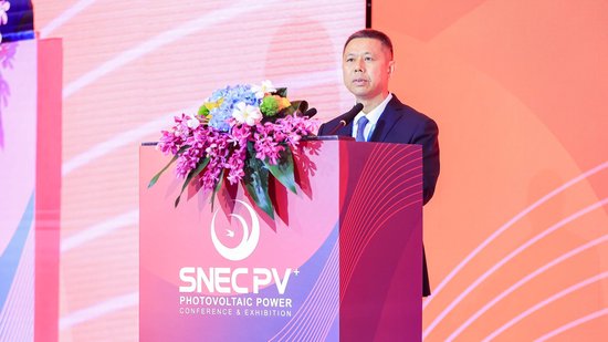 光伏产业量增价跌，高纪凡直指四大乱象-第1张图片
