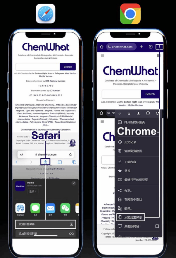 提高研究效率：通过ChemWhat AI化学家克服信息挑战-第2张图片