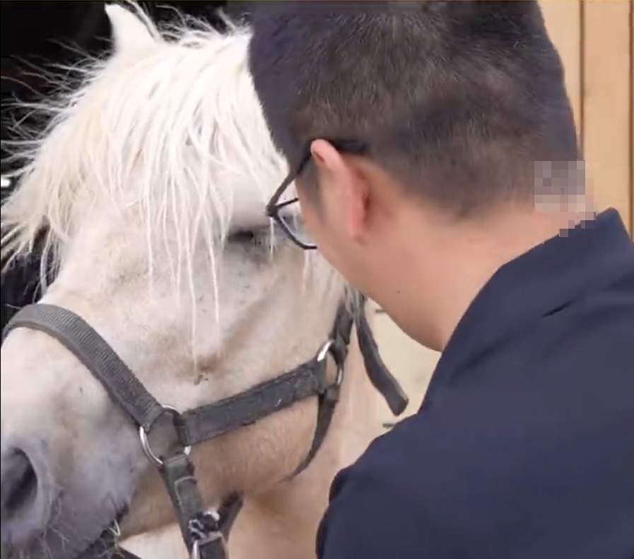 游客内蒙古旅游抽奖抽到一匹马，网友戏称"玩儿真的啊"-第3张图片