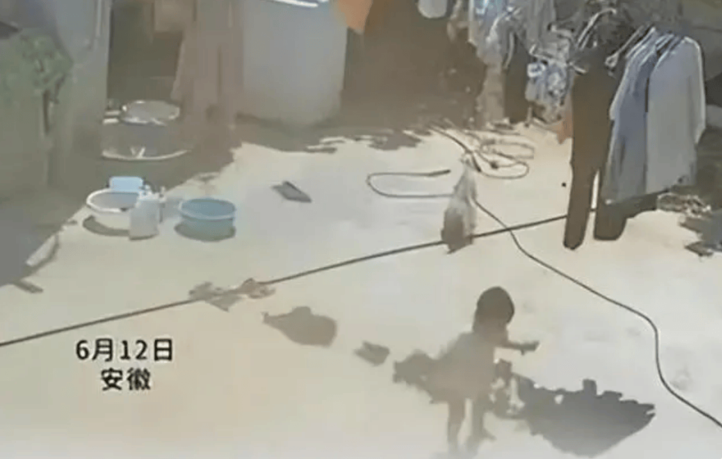 孩子光脚被地面烫到两轮变四驱 网友调侃：打败孩子的不是天真而是无鞋-第1张图片