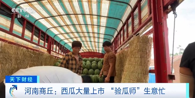 今夏“吃瓜自由”来了！西瓜价格跳水跌破个位数，“验瓜师”成“香饽饽”-第3张图片