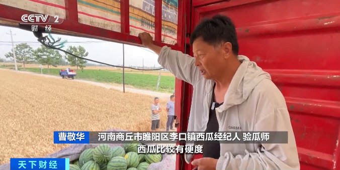 今夏“吃瓜自由”来了！西瓜价格跳水跌破个位数，“验瓜师”成“香饽饽”-第4张图片