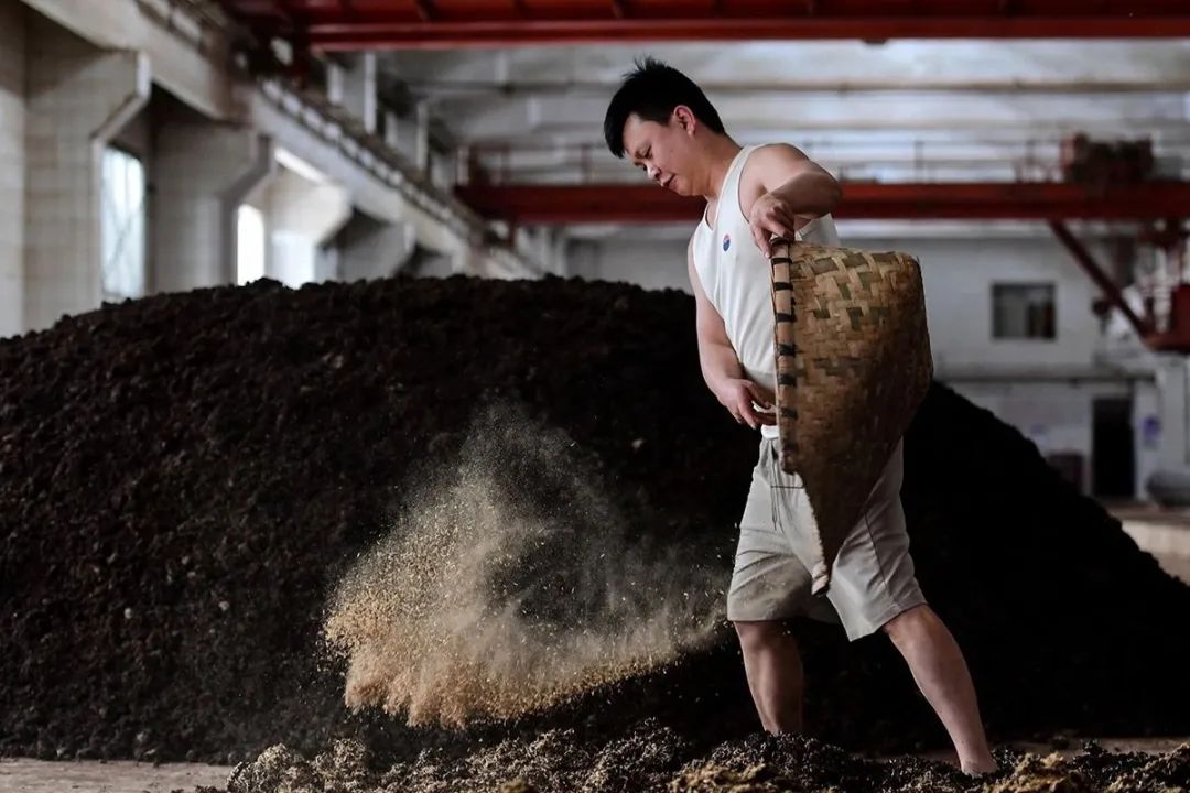 说茅台不一样？其实也一样-第3张图片
