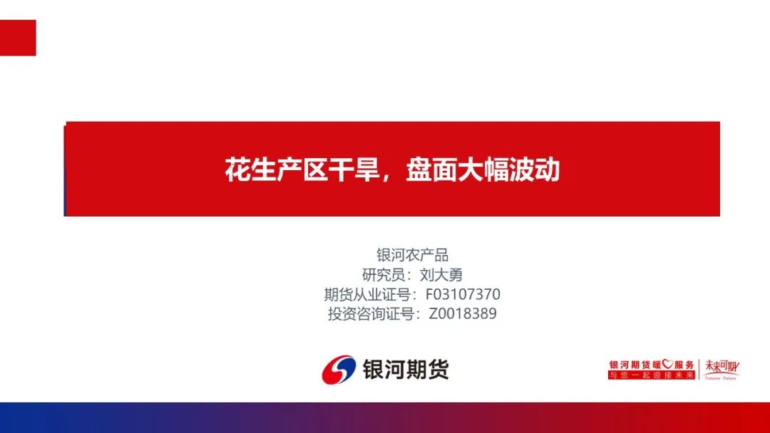 【花生周报】花生产区干旱 盘面大幅波动-第2张图片