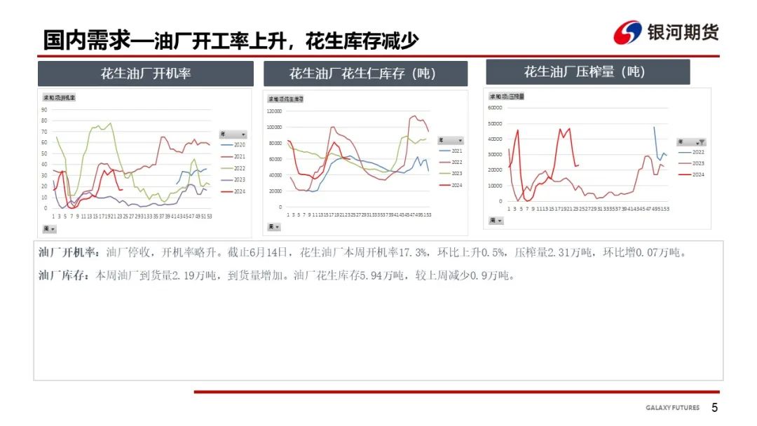 【花生周报】花生产区干旱 盘面大幅波动-第7张图片