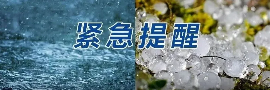 “历史最高罚款金额”！这一国最大电商平台，面临巨额罚款！-第4张图片