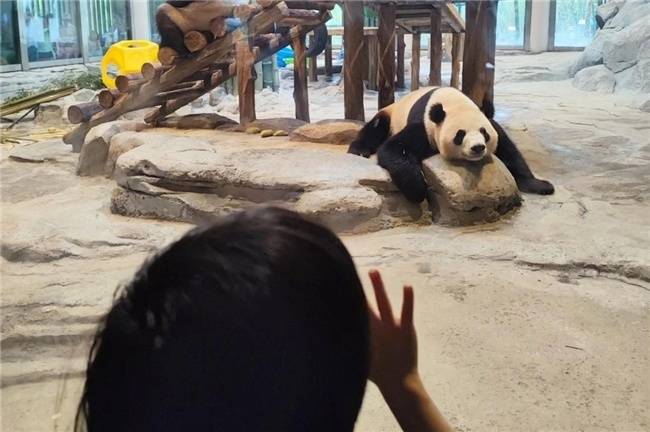从一线回归，30岁在长沙万兴拿百万年薪是一种什么样的体验-第6张图片