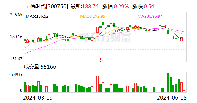 泰达股份与宁德时代控股子公司签署战略合作协议-第2张图片