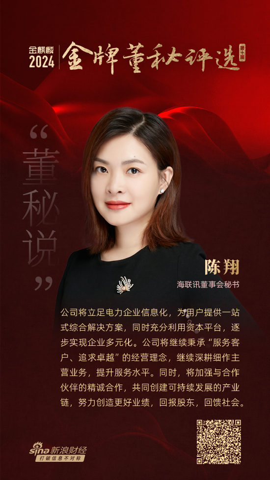 董秘说|海联讯董秘陈翔：将立足电力企业信息化继续深耕细作-第1张图片