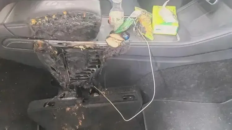 多地出现车辆自燃 高温天用车注意这些-第11张图片