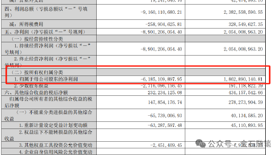 资本圈大瓜！基金经理直言上市公司财务造假？-第7张图片