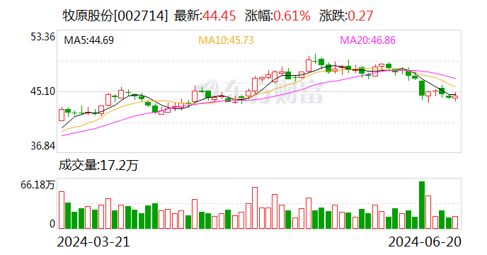 牧原股份：控股股东限售股解禁 目前没有减持计划-第1张图片
