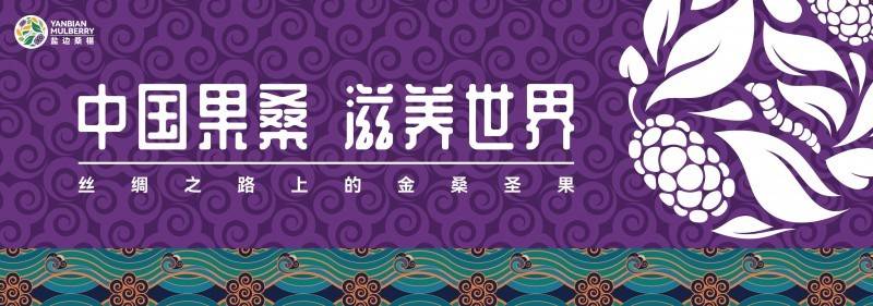 盐边桑椹品牌战略发布：中国果桑，滋养世界！-第1张图片
