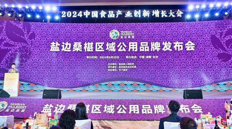 盐边桑椹品牌战略发布：中国果桑，滋养世界！-第2张图片