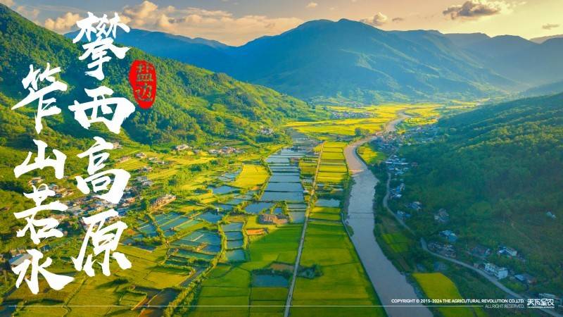 盐边桑椹品牌战略发布：中国果桑，滋养世界！-第4张图片