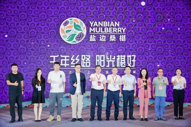 盐边桑椹品牌战略发布：中国果桑，滋养世界！-第7张图片