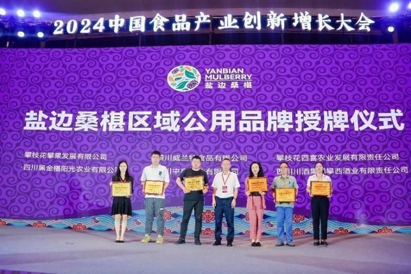 盐边桑椹品牌战略发布：中国果桑，滋养世界！-第8张图片