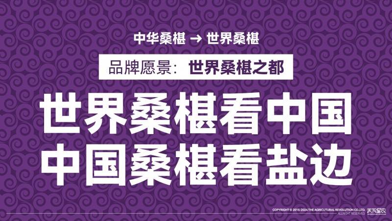 盐边桑椹品牌战略发布：中国果桑，滋养世界！-第9张图片