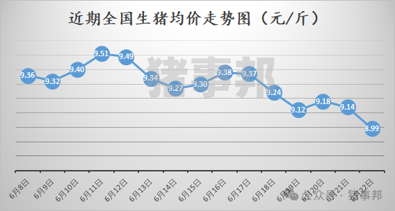 猪事邦|| 6月22日猪价汇总（全国均价“破9”！）-第2张图片
