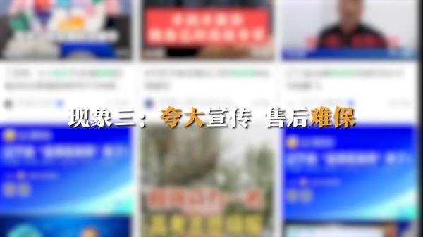 制造焦虑、收费畸高…高考志愿填报成“唐僧肉”？-第9张图片