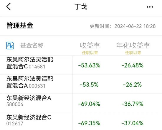 东吴基金基金经理丁戈转岗研究员-第2张图片