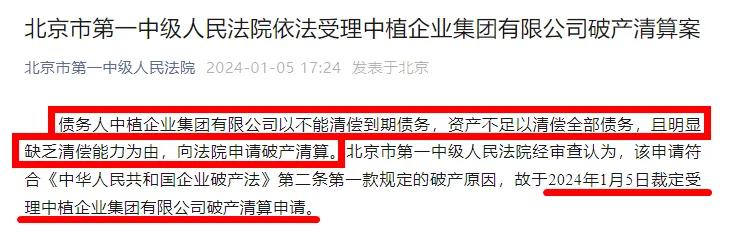 暴雷！比恒大还多1.14万亿，这家巨头正式进入破产清算-第3张图片