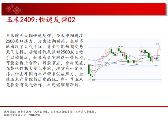 中天期货:玉米快速反弹 纯碱继续下行-第7张图片