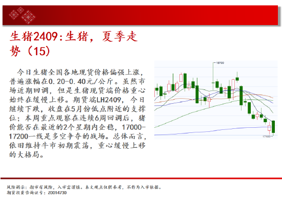 中天期货:玉米快速反弹 纯碱继续下行-第8张图片