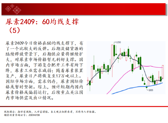 中天期货:玉米快速反弹 纯碱继续下行-第11张图片