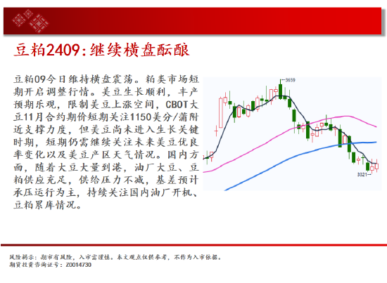 中天期货:玉米快速反弹 纯碱继续下行-第12张图片