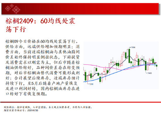 中天期货:玉米快速反弹 纯碱继续下行-第13张图片