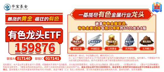 高层再提“大规模设备更新+消费品以旧换新”，工业金属板块逆市活跃！有色龙头ETF（159876）盘中上探0．97%-第7张图片