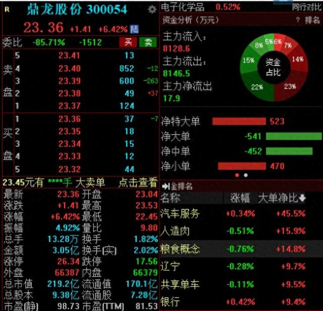 上半年业绩大幅预增逾110%，鼎龙股份早盘大涨超6%-第1张图片