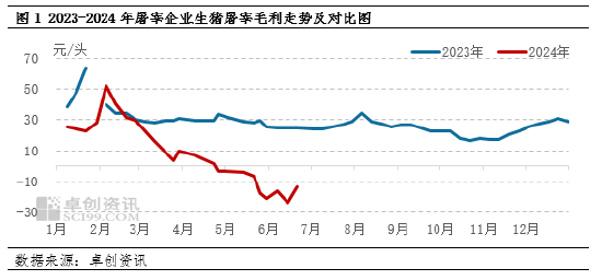 猪肉：2024年春节后屠宰毛利震荡下跌 下半年企业利润或好转-第1张图片