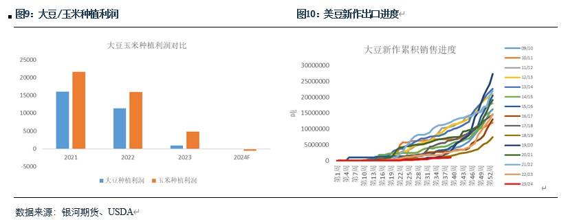 【粕类半年报】粕类市场驱动有限 交易主线或为预期差-第5张图片