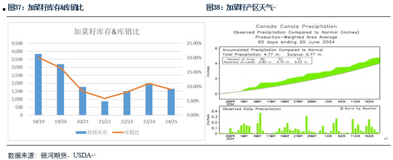【粕类半年报】粕类市场驱动有限 交易主线或为预期差-第17张图片