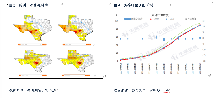 【棉花、棉纱半年报】水涨船欲高 棉花或可期-第6张图片