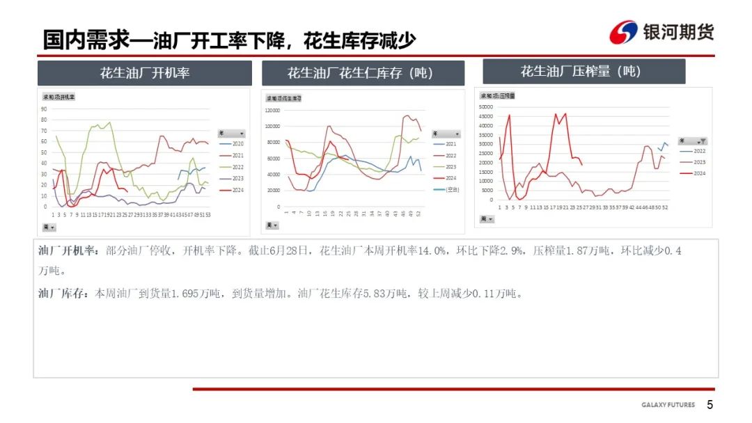 【花生周报】东北产区花生止跌反弹  盘面底部反弹-第7张图片