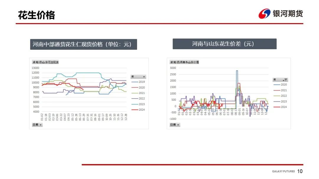 【花生周报】东北产区花生止跌反弹  盘面底部反弹-第12张图片