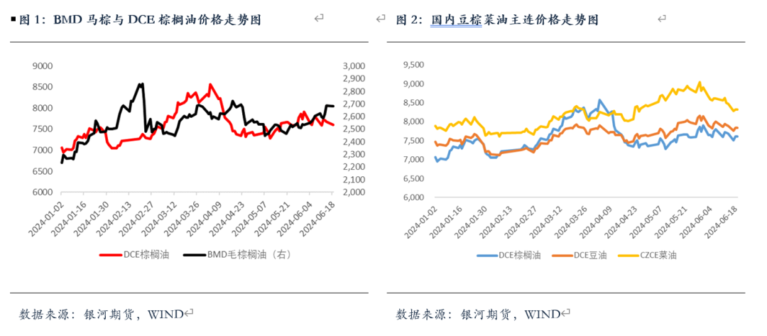 【油脂半年报】矛盾暂无的油脂，未来何去何从？-第2张图片