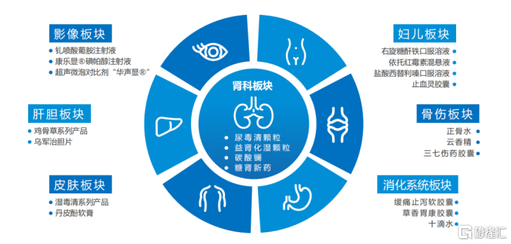 康臣药业（1681.HK）亮相“2024格隆汇中期策略会”，高分红稳增长成焦点-第2张图片