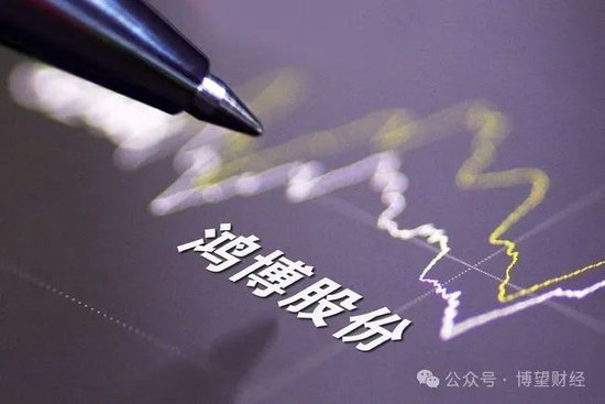 鸿博股份前老板巨额套现离场，17亿“接盘”股民怎么办？-第1张图片