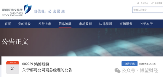 鸿博股份前老板巨额套现离场，17亿“接盘”股民怎么办？-第12张图片