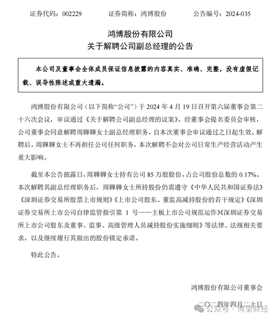 鸿博股份前老板巨额套现离场，17亿“接盘”股民怎么办？-第13张图片