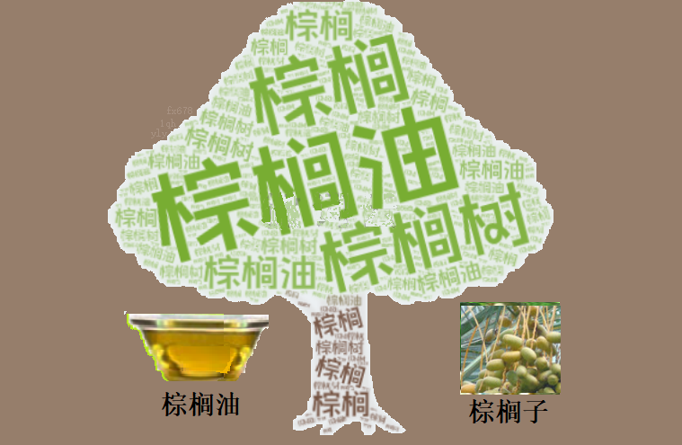 棕榈油期货连涨背后隐藏了什么？揭秘市场波动的奥秘！-第1张图片